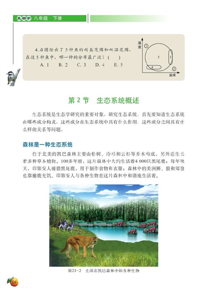 生态系统概述(2)