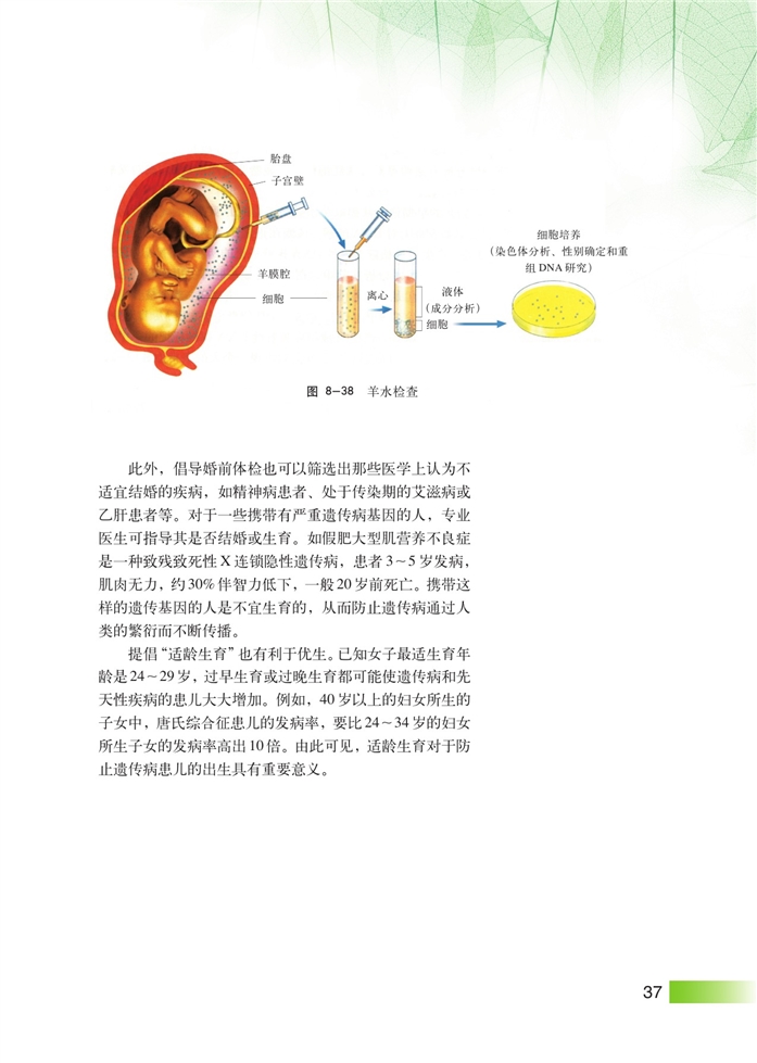 人类遗传病和遗传病预防(7)