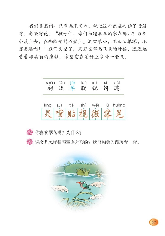 翠鸟(3)