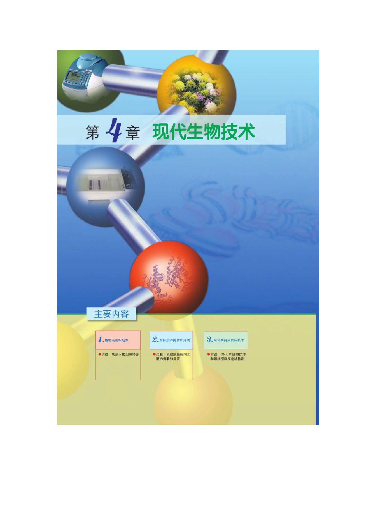 第4章现代生物技术