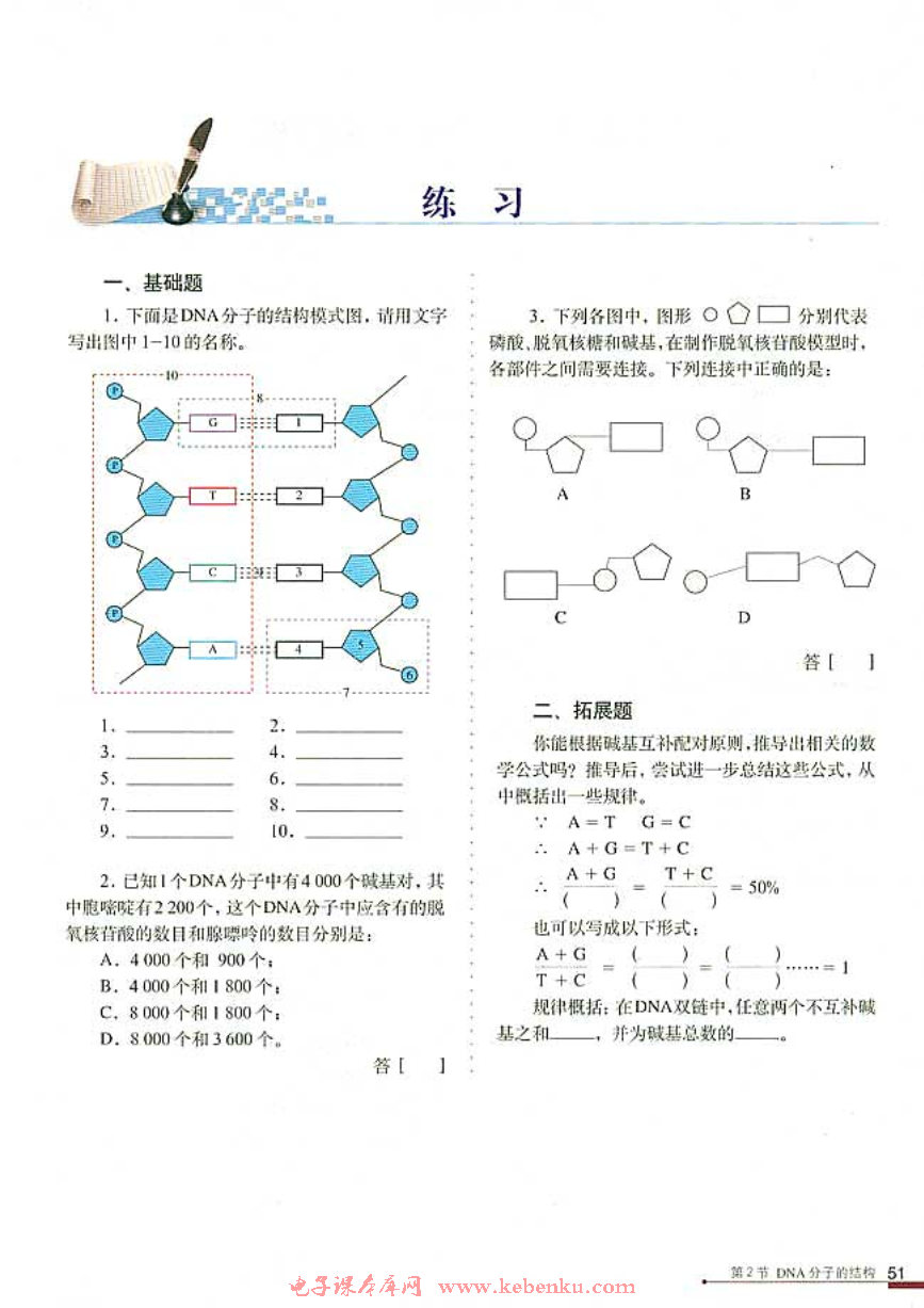第2节 DNA分子的结构(5)