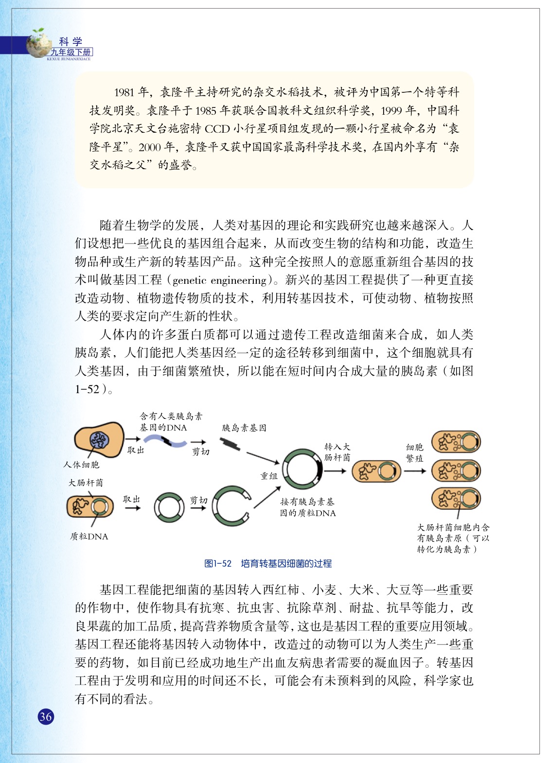 「5」 遗传与进化(7)