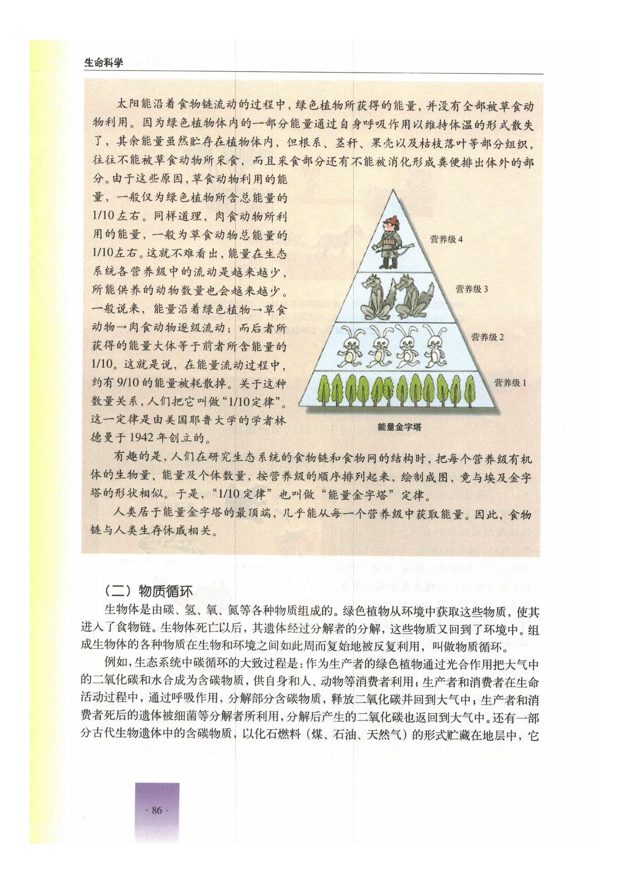 第二节 生态系统的结构和功能(6)