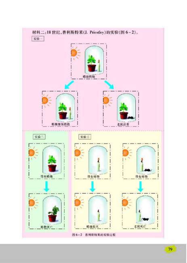 「1」、植物光合作用的发现