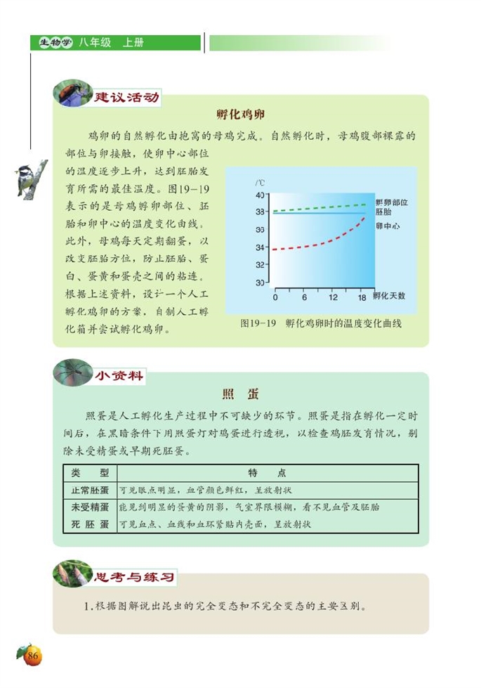 动物的生殖和发育(11)