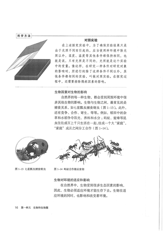 了解生物圈(6)