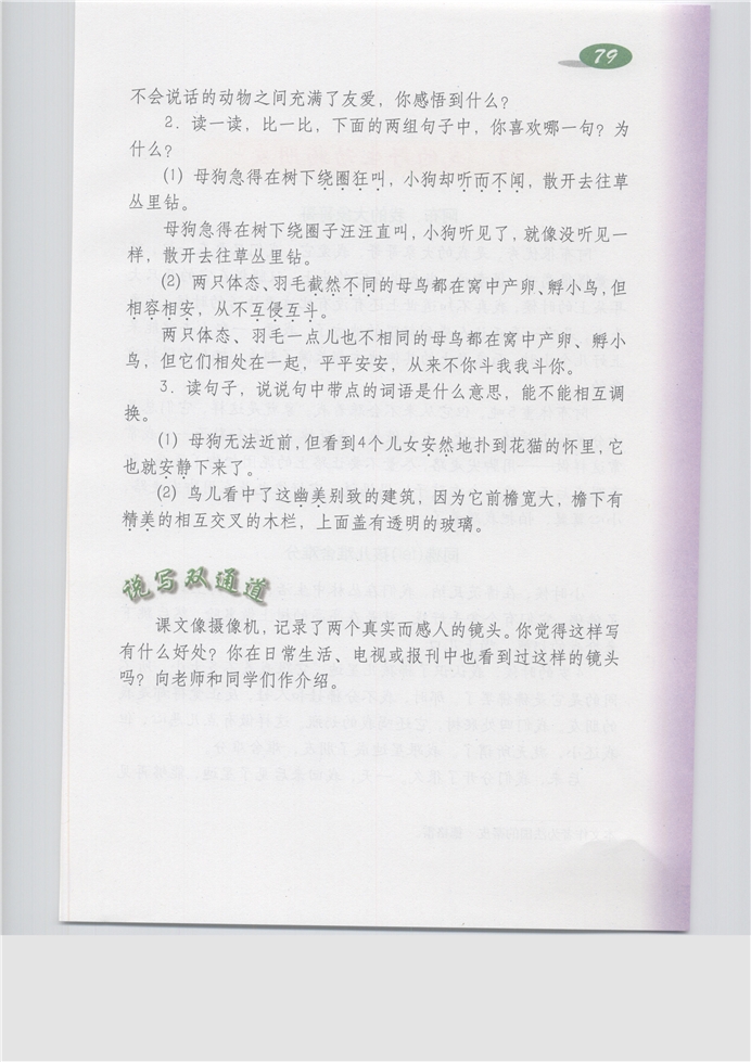 无言的爱(3)