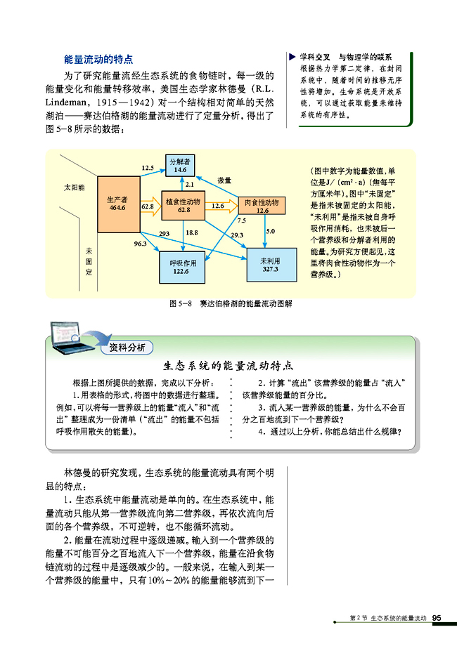 生态系统的能量流动(3)