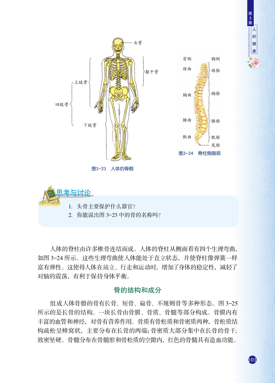 「5」 人的运动系统和保健(2)