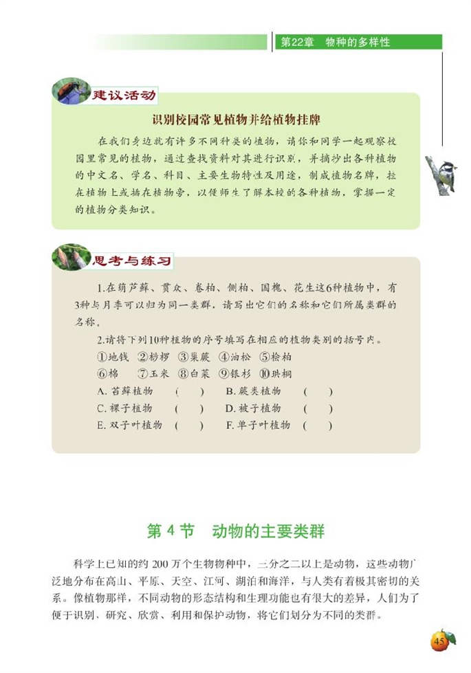 动物的主要类群