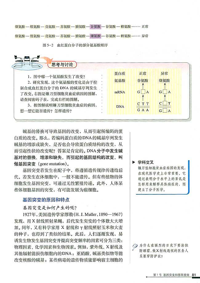 基因突变和基因重组(2)