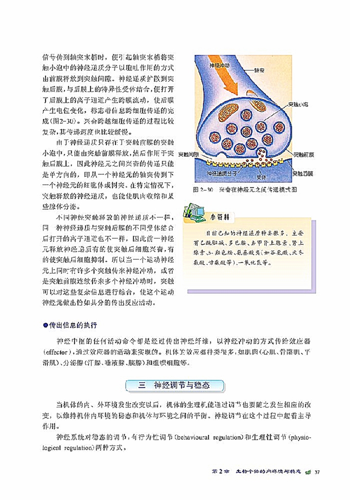 人体生命活动的神经调节(7)