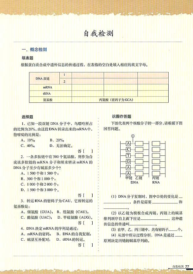 遗传密码的破译（选学）(5)