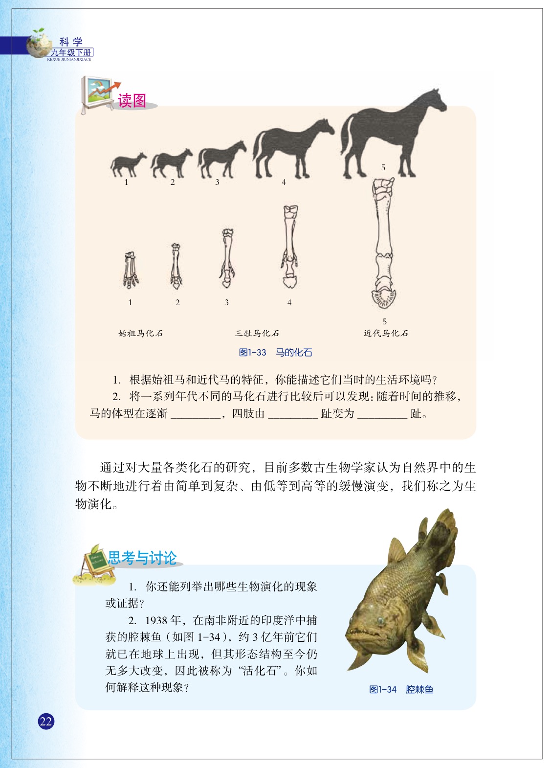 「4」 生物的进化(3)