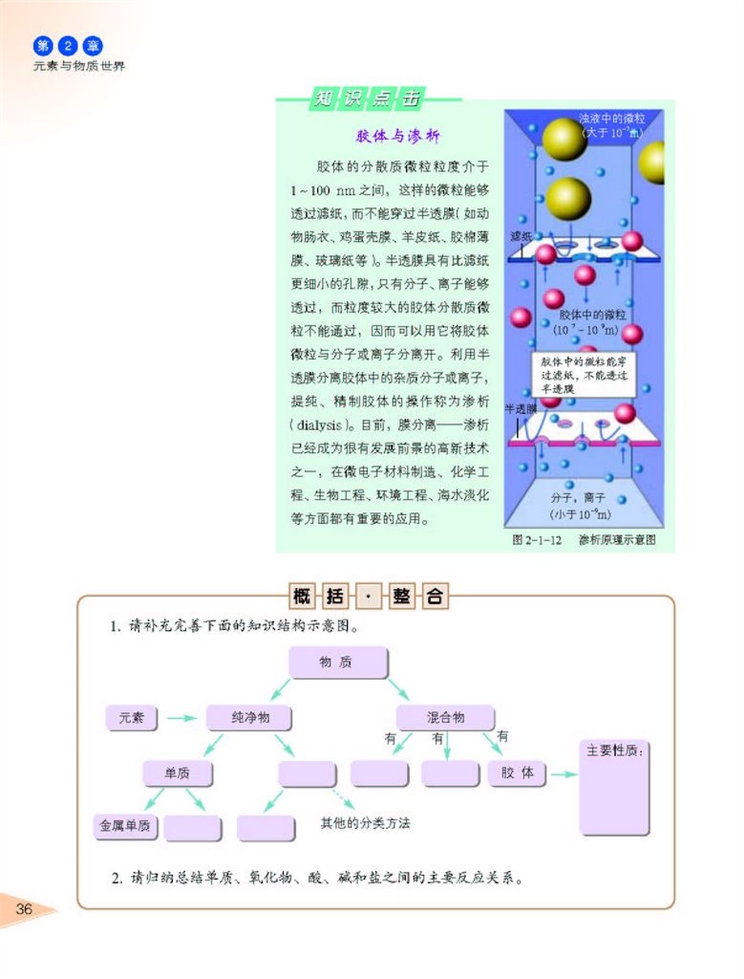 元素与物质的分类(7)