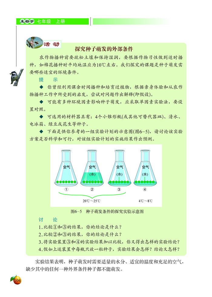 种子萌发形成幼苗(5)