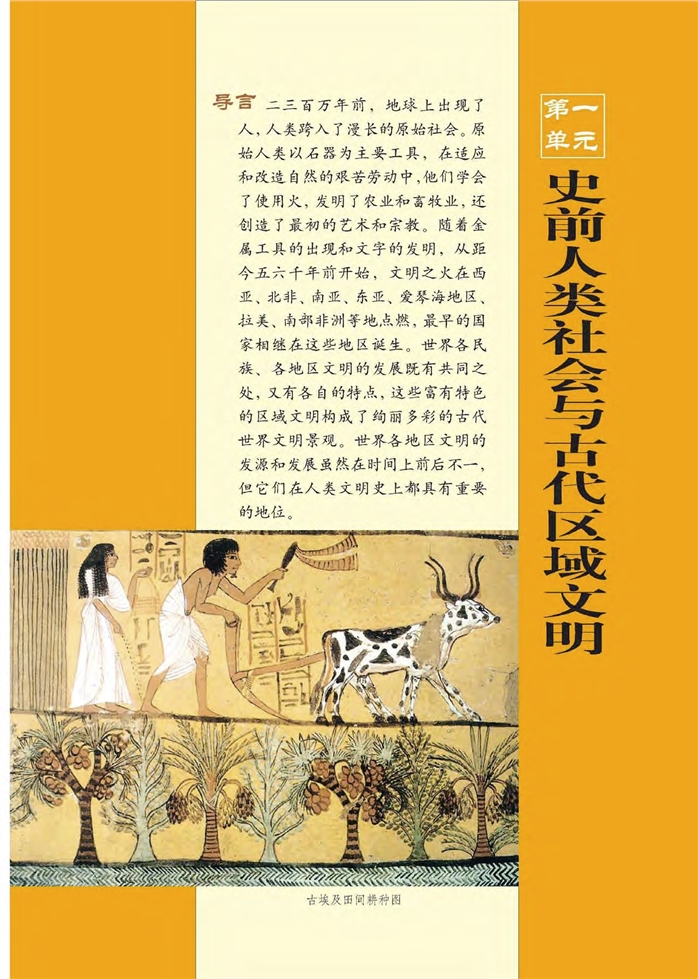 第一单元 史前人类社会与古代区域文