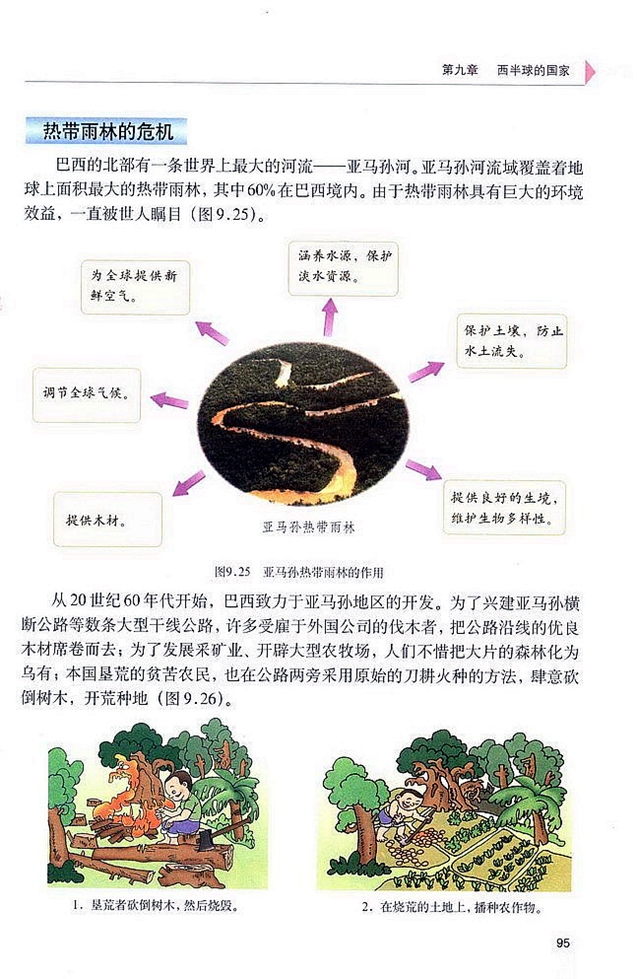 巴西(7)