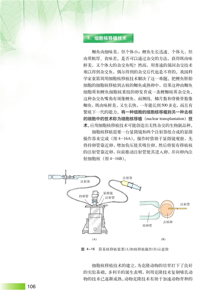 细胞工程(12)