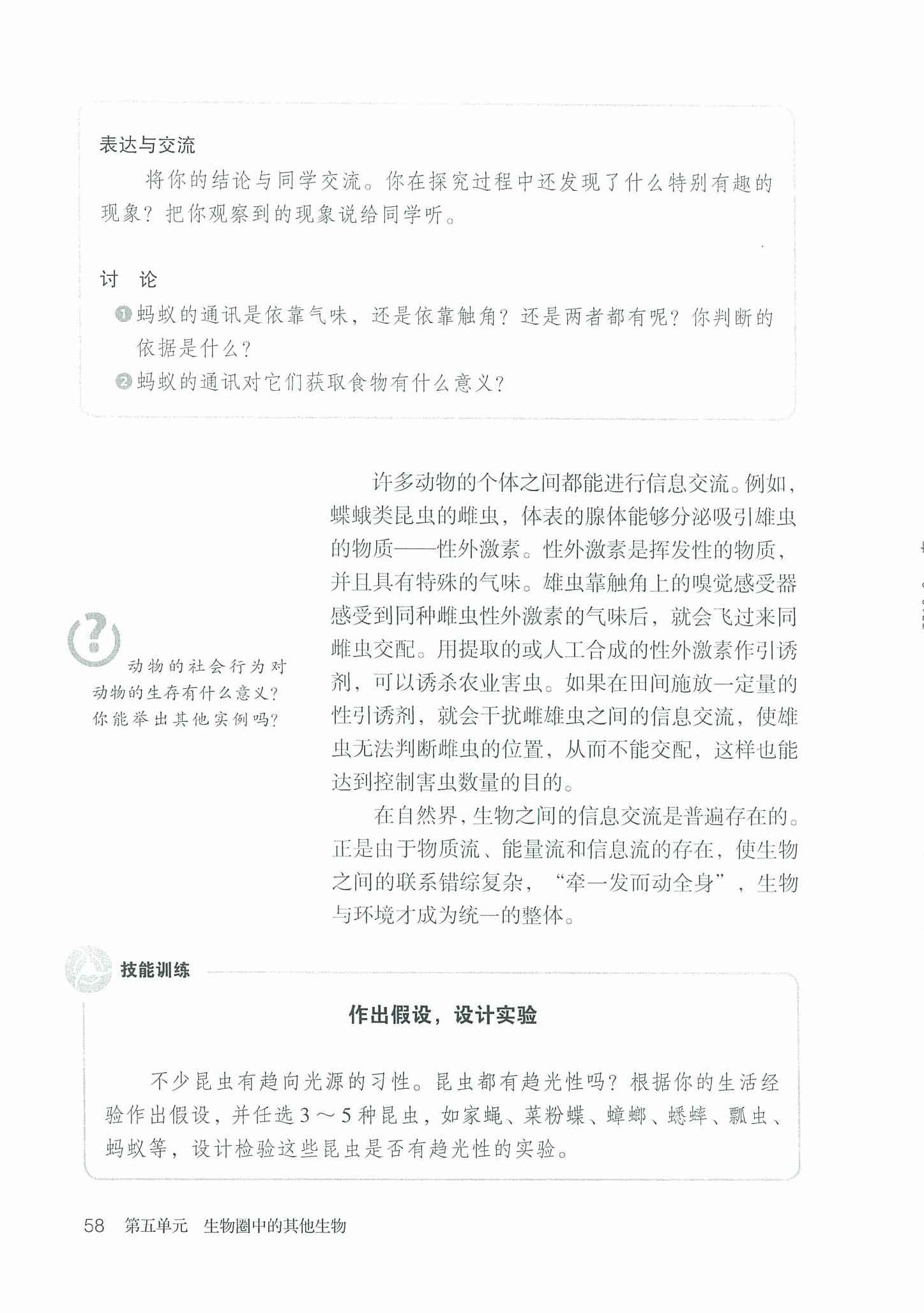 探究 蚂蚁的通讯(2)