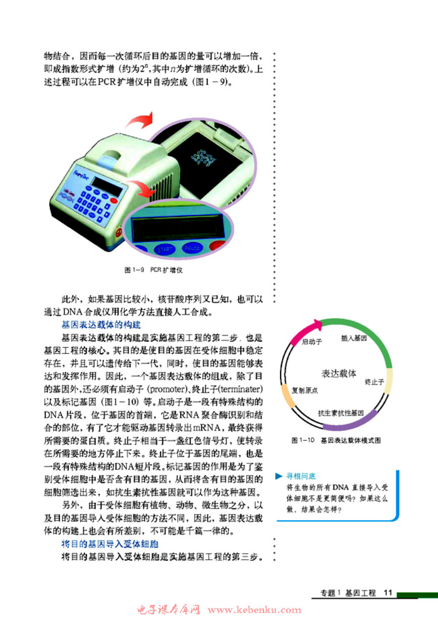 「1」.2 基因工程的基本操作程序(4)