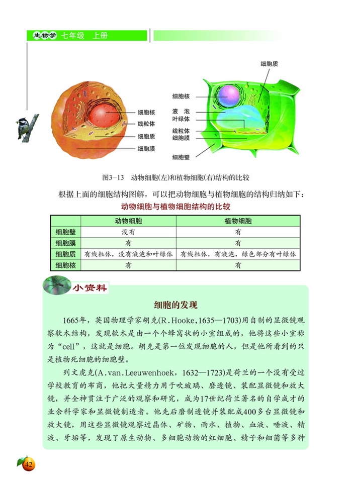 细胞的基本结构和功能(12)