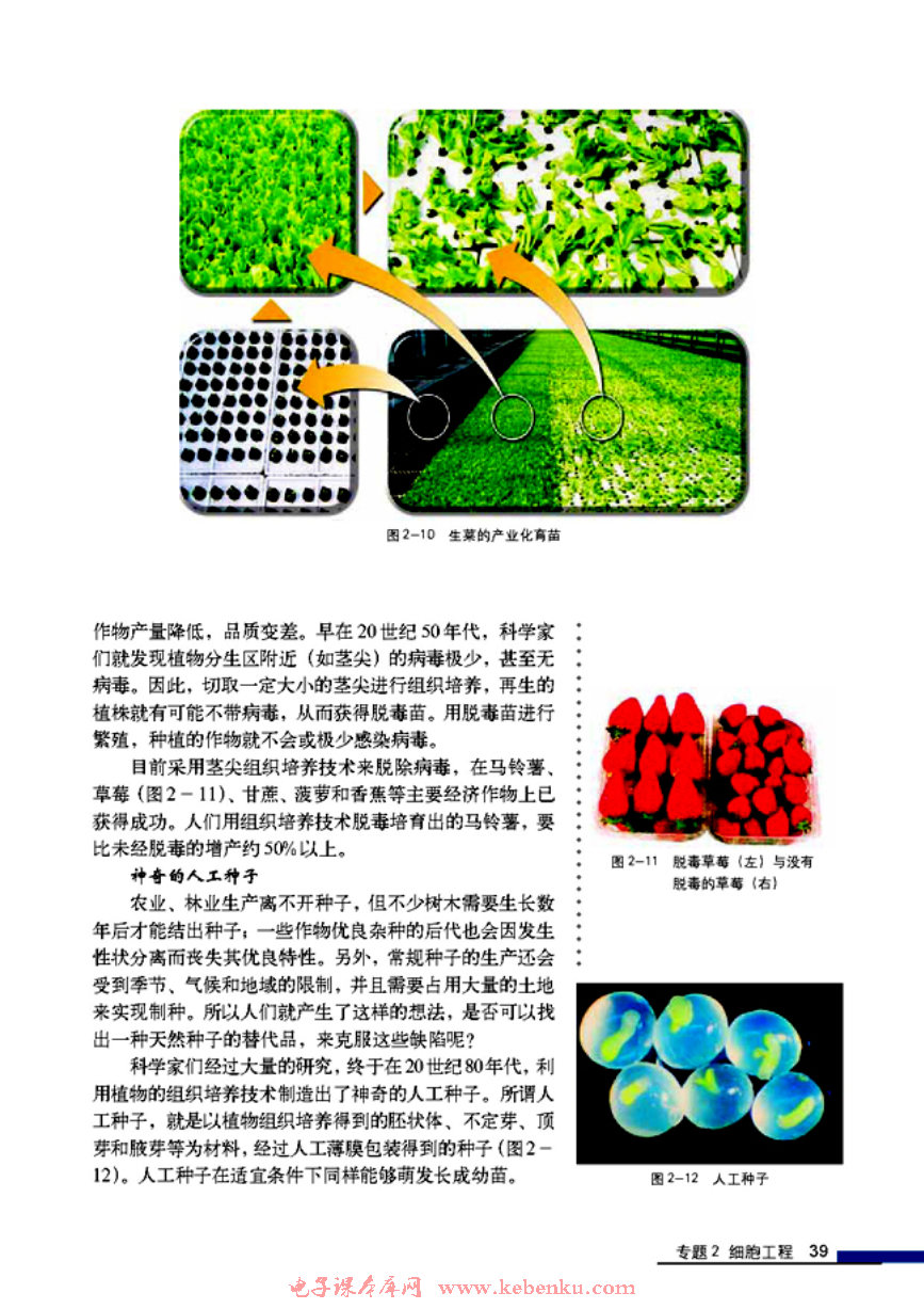 「2」.1 植物细胞工程(7)