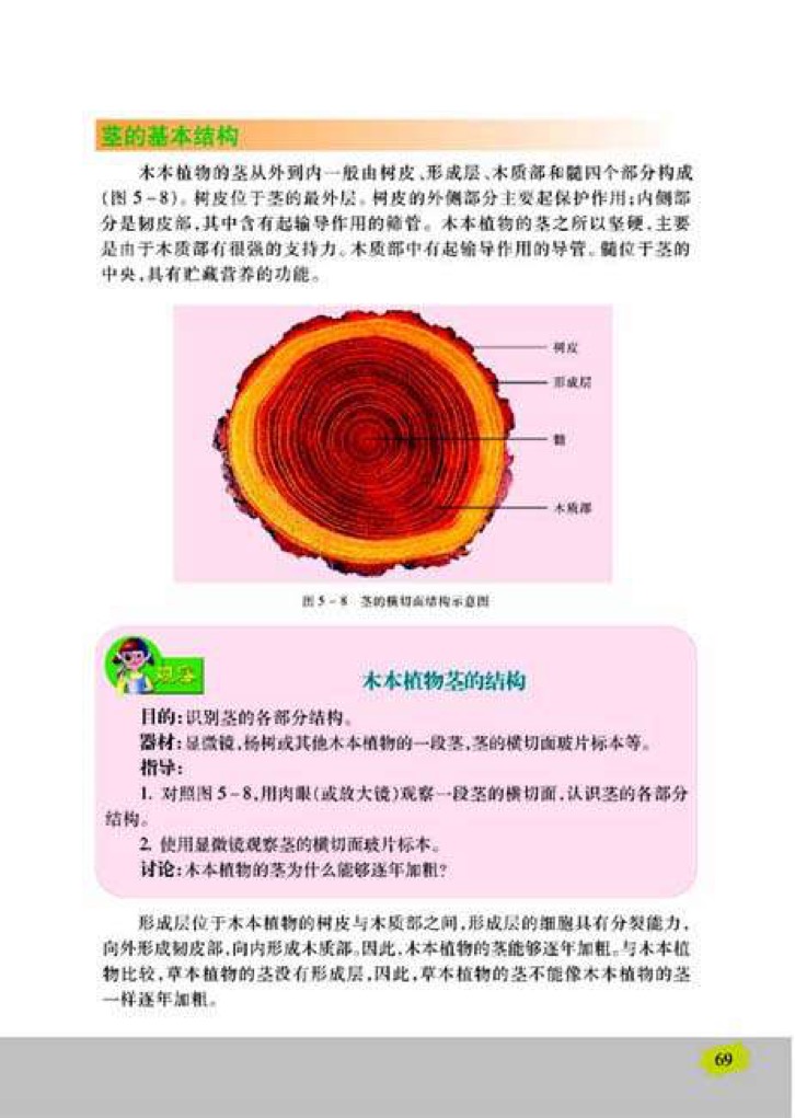 「4」、植物茎的输导功能(2)