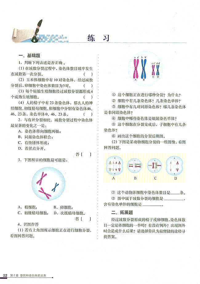 减数分裂和受精作用(7)