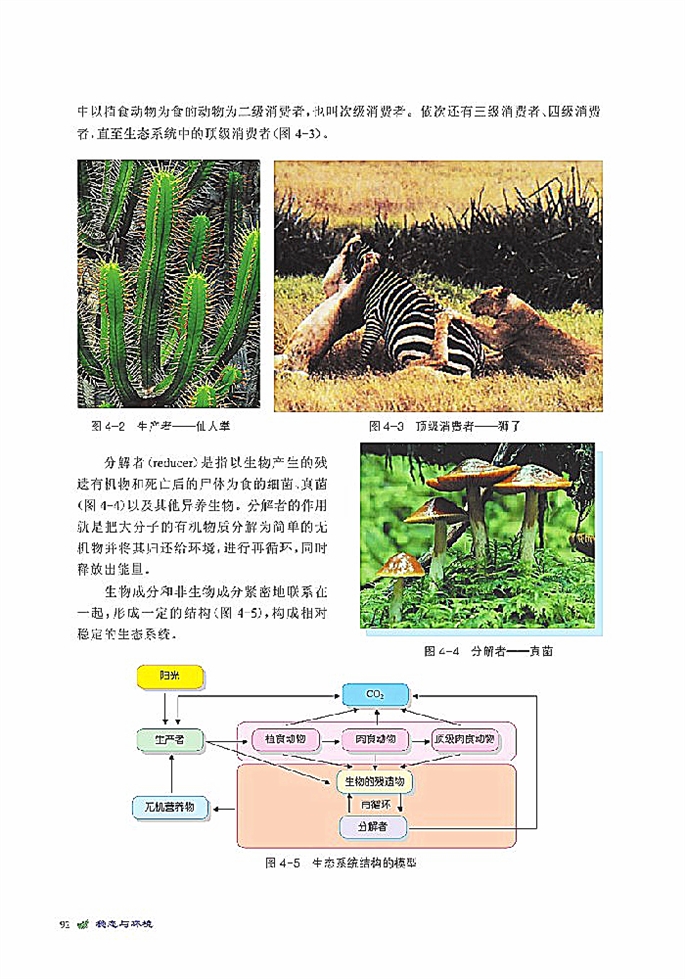 生态系统是一个相对稳定的系统(3)