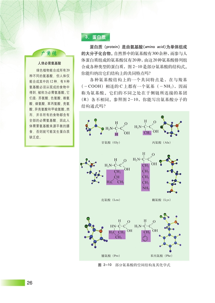 生物体中的有机化合物(7)