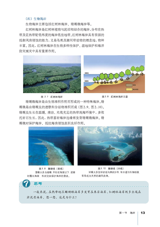 不同类型的海岸(3)