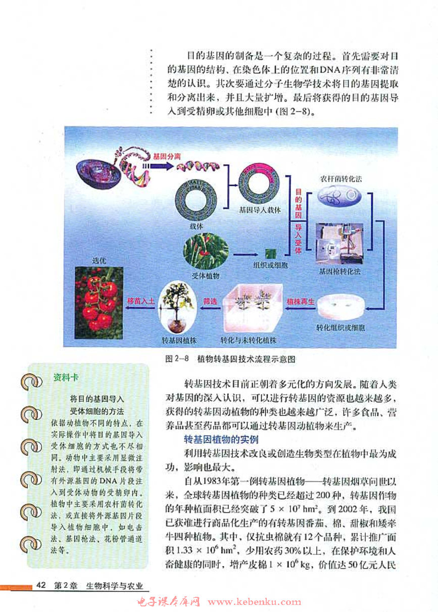 第2节 现代生物技术在育种上的应用(2)