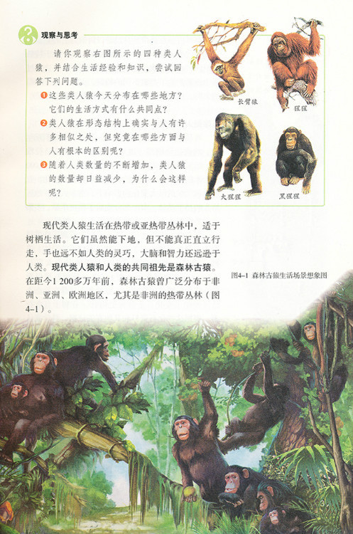 现代类人猿和人类的共同祖先