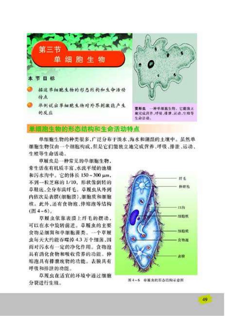 「3」、单细胞生物