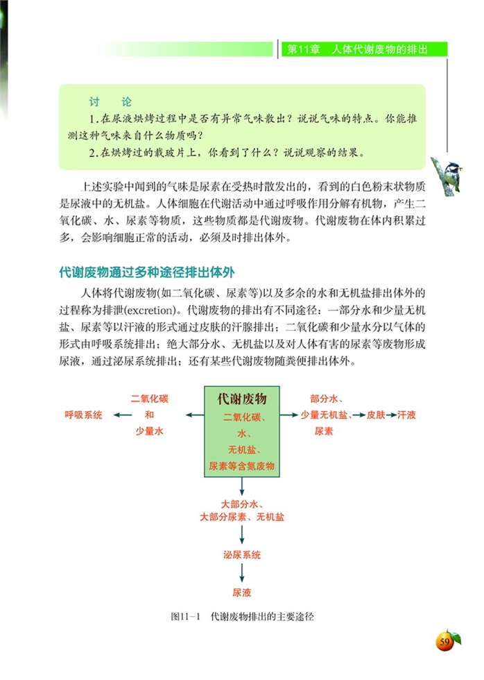 人体产生的代谢废物(3)