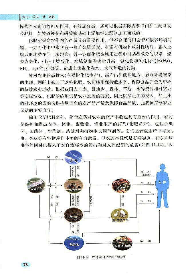 课题2 化学肥料(3)