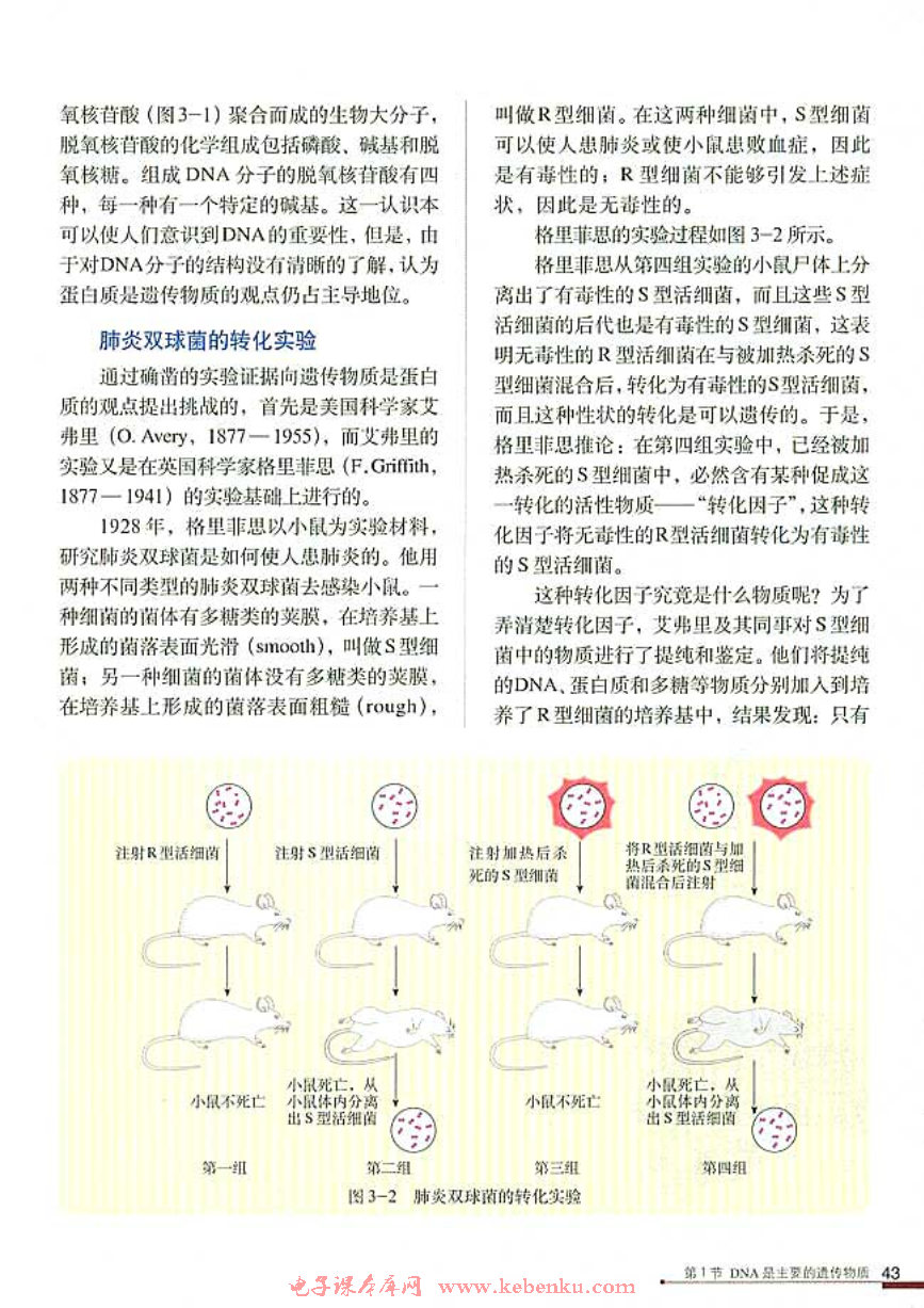 第1节 DNA是主要的遗传物质(2)