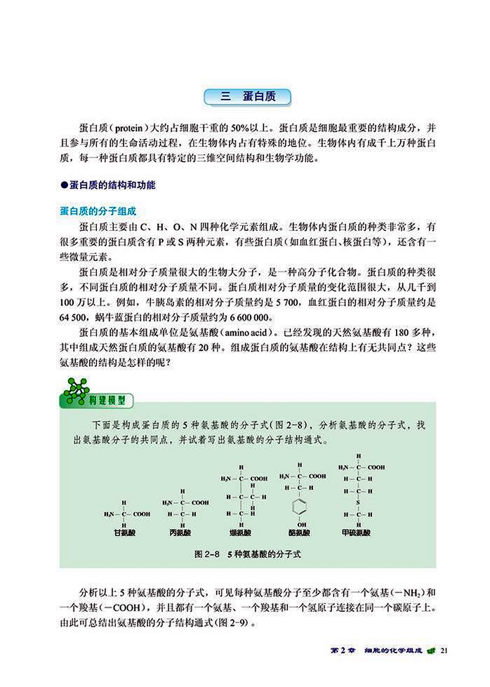 生物大分子(5)