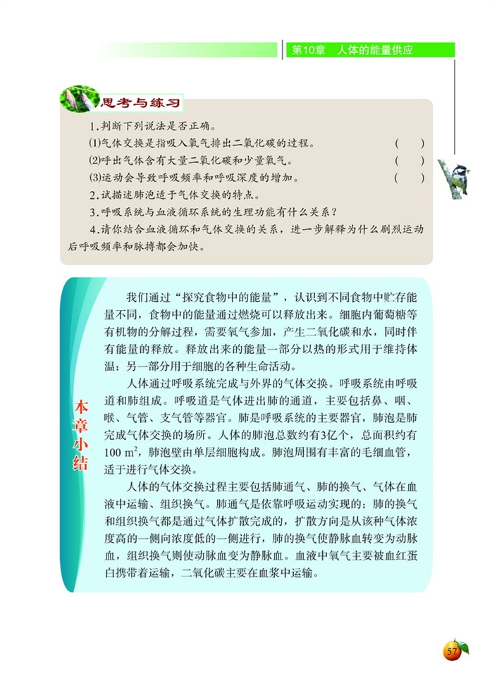 人体细胞获得氧气的过程(6)