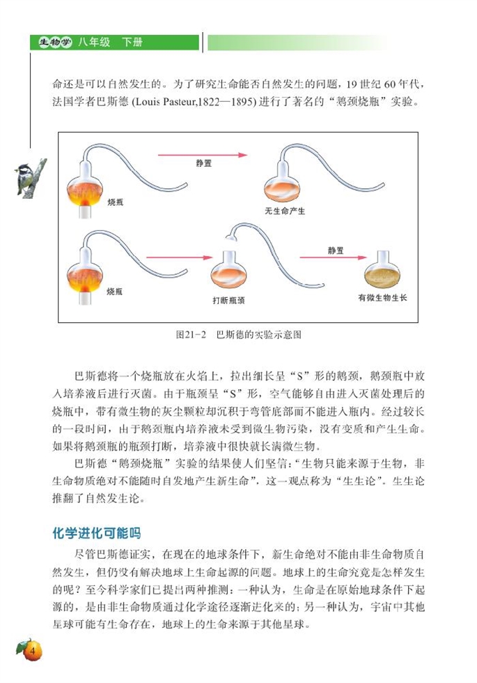 生命的起源(4)