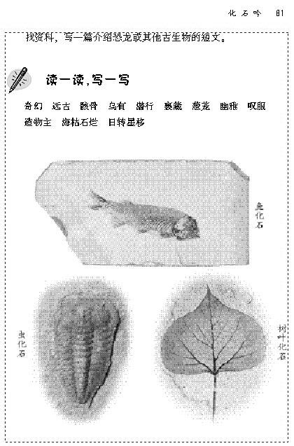 「16」.化石吟(4)