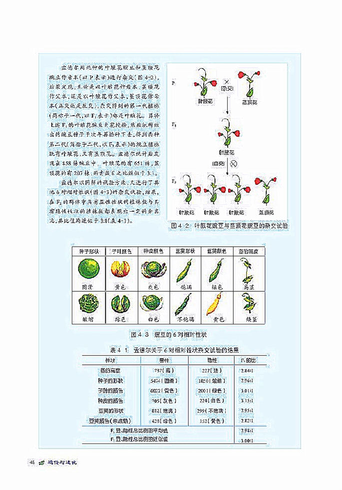 遗传信息的传递规律(2)