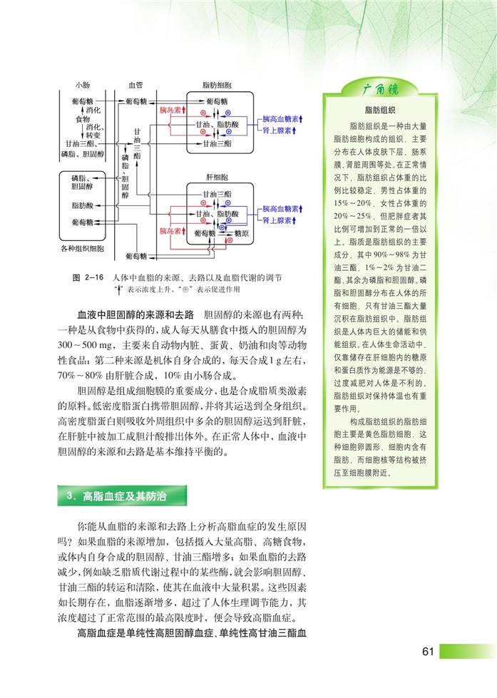 血脂代谢及其调节(3)