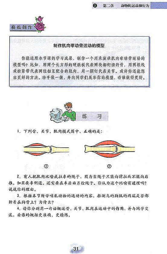 动物的运动和行为(5)