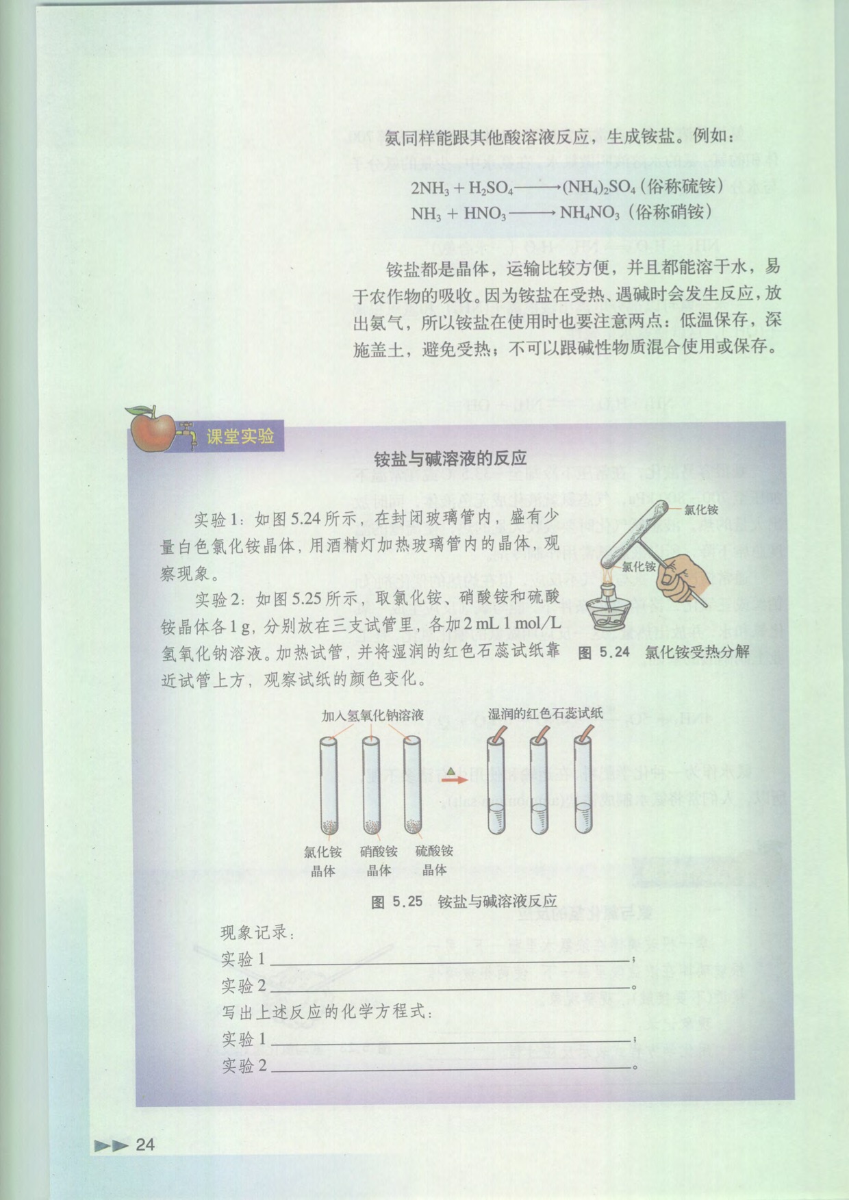 「5」.4 化學(xué)肥料中的主角(5)