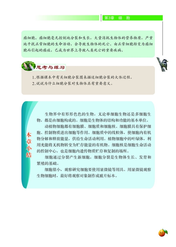 细胞通过分裂而增殖(5)