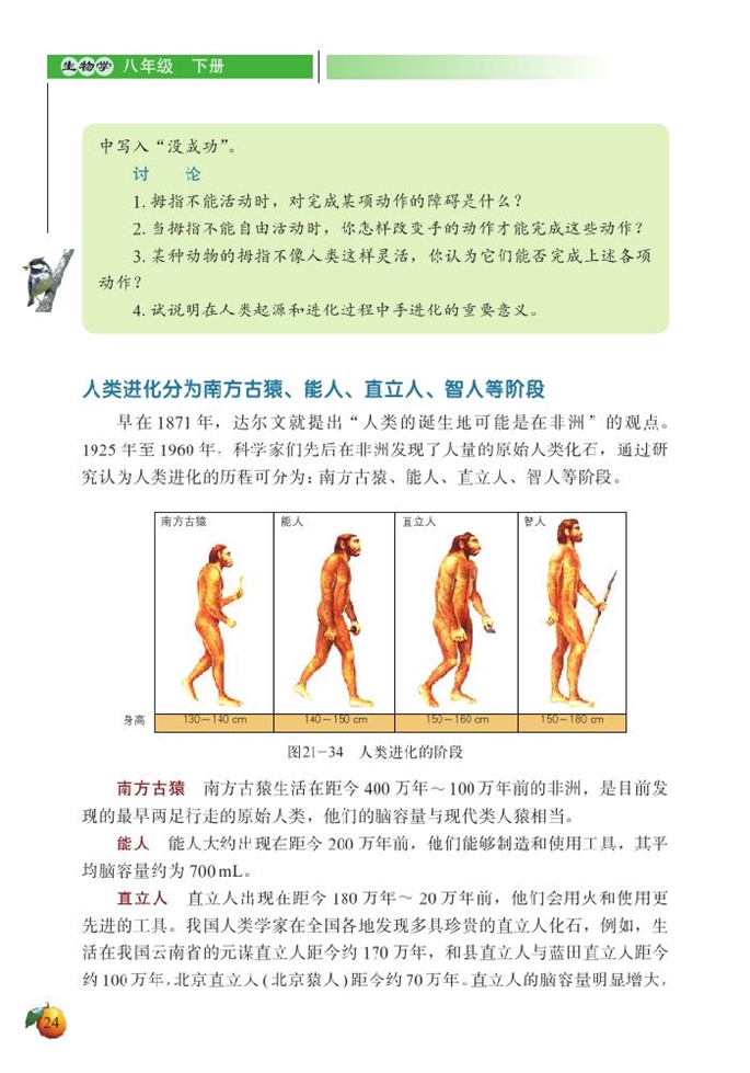 人类的起源与进化(6)