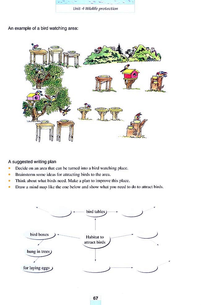 Unit 4 Wildlife protection(6)