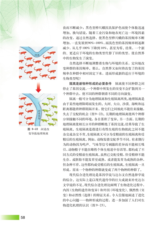 生物进化理论(7)